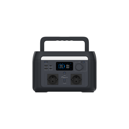 PS 1000