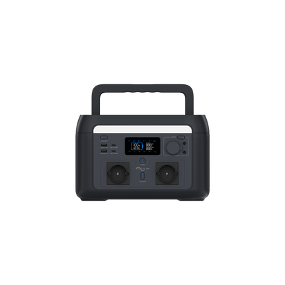 PS 600