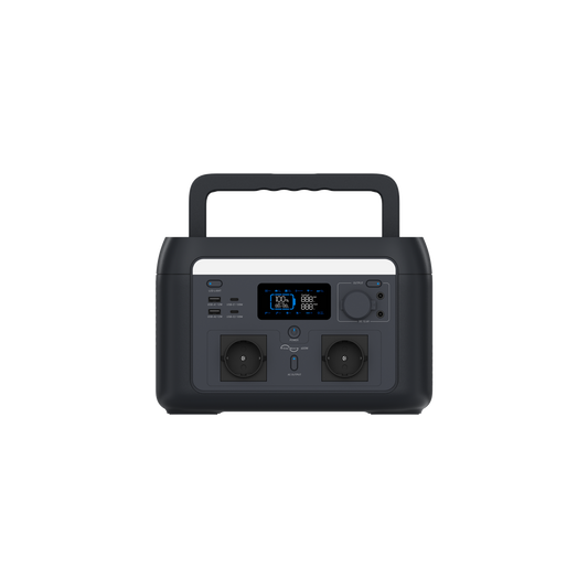 PS 600