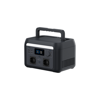 PS 600